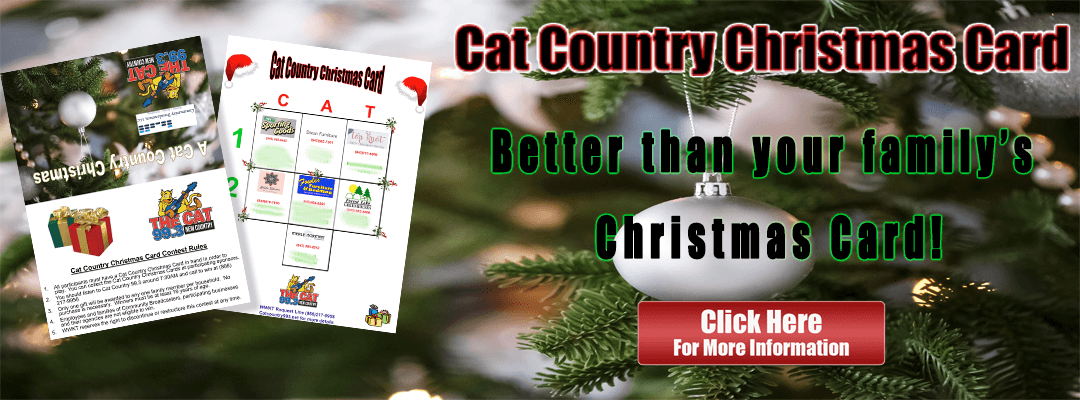 cat_christmas_slider